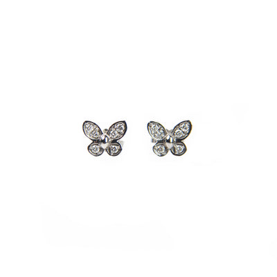 Quaglia Butterfly - H148 / P_TAP